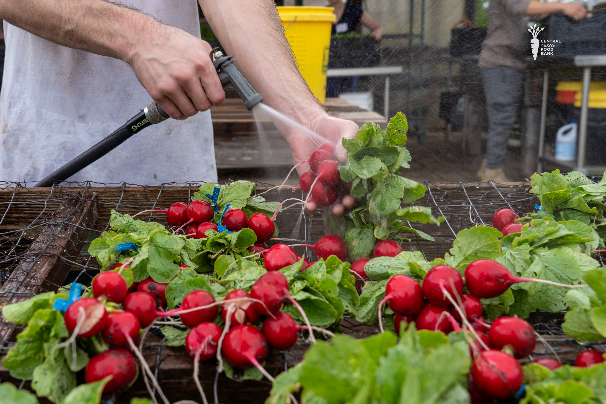 Central Texas Food Bank — Food Hub