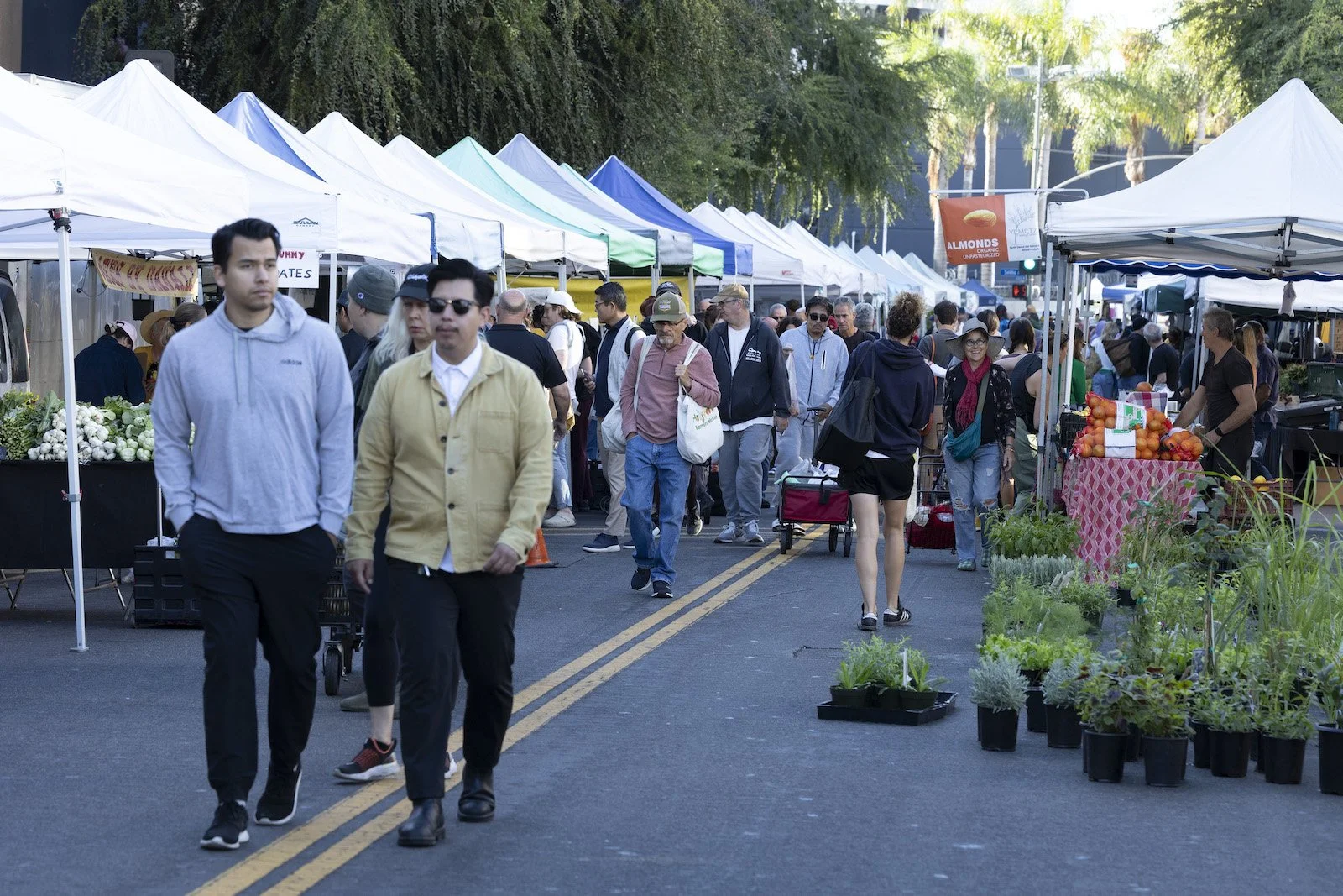 Hollywood Farmers’ Market