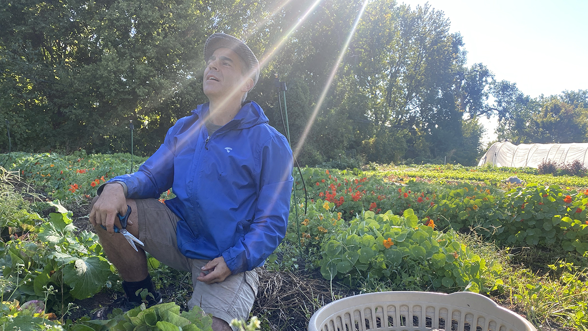 Brother Nature Produce