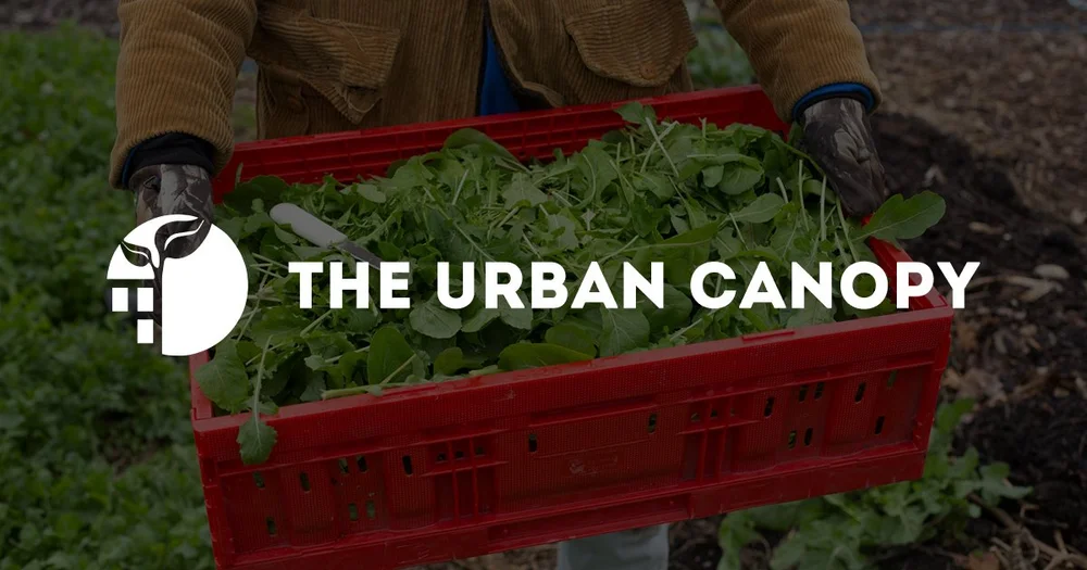 The Urban Canopy
